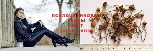 стаф Зеленодольск